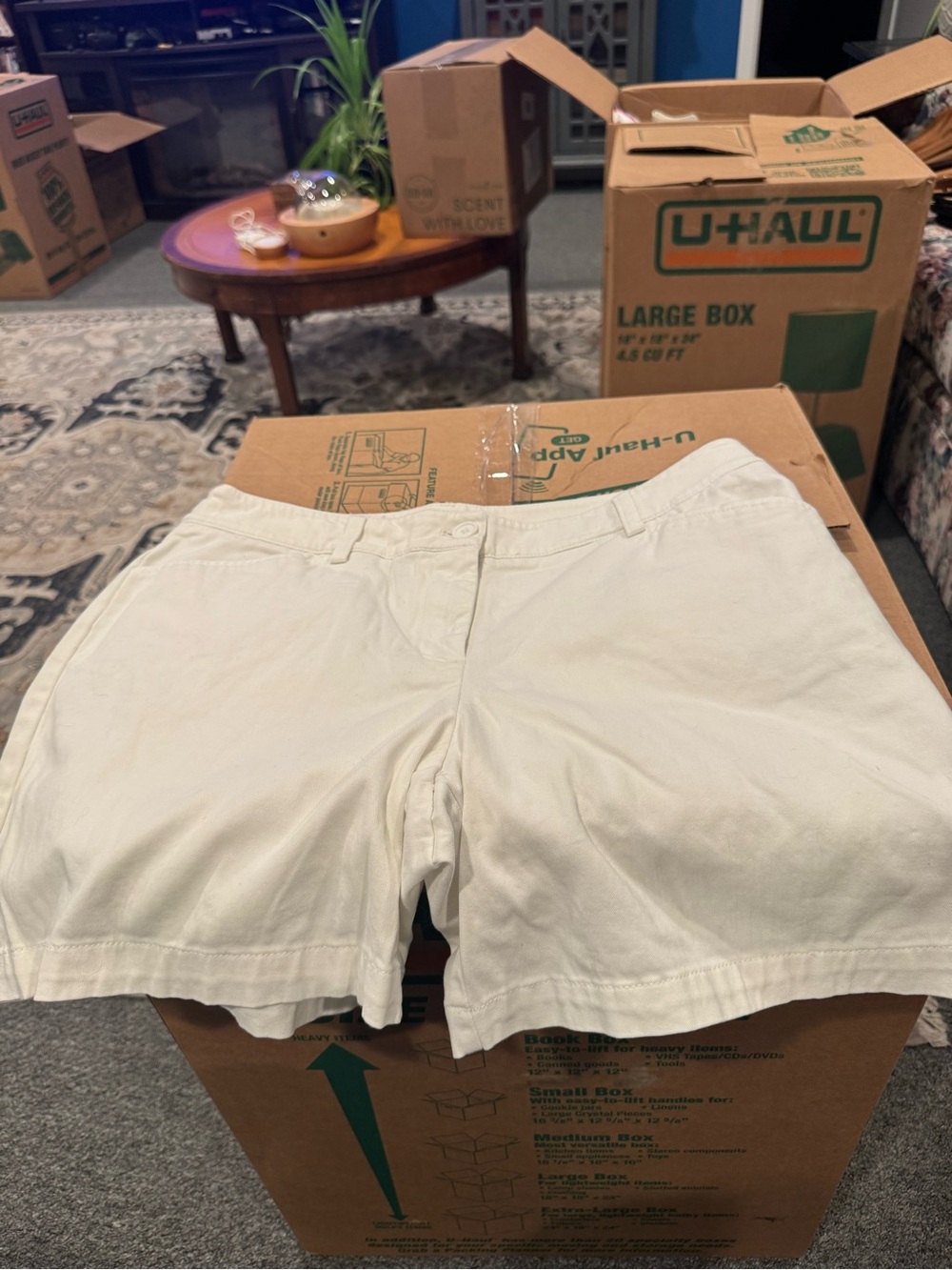 Jones New York White Cotton Bermuda Shorts